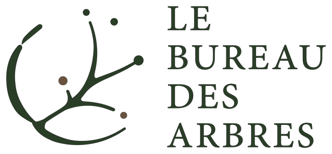 Logo du Bureau Des Arbres : symbole d arbre stylise et nom en capitales